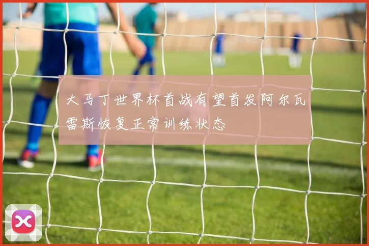 大马丁世界杯首战有望首发阿尔瓦雷斯恢复正常训练状态