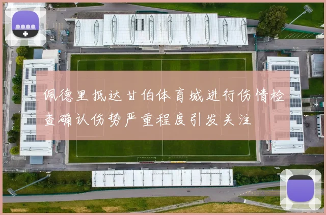 佩德里抵达甘伯体育城进行伤情检查确认伤势严重程度引发关注